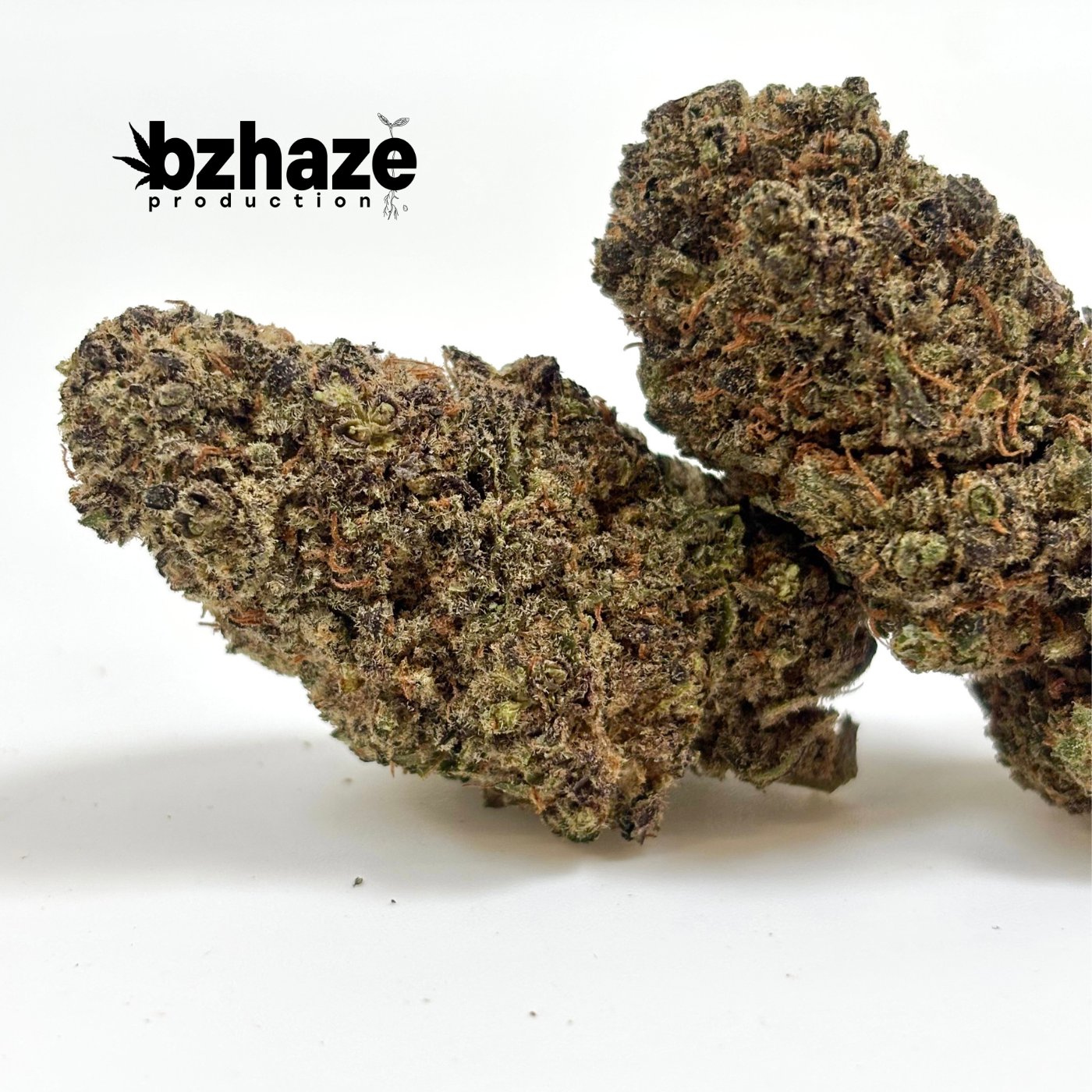 💥 NEW !  – Indoor Garlic Cookies by Bzhaze Production