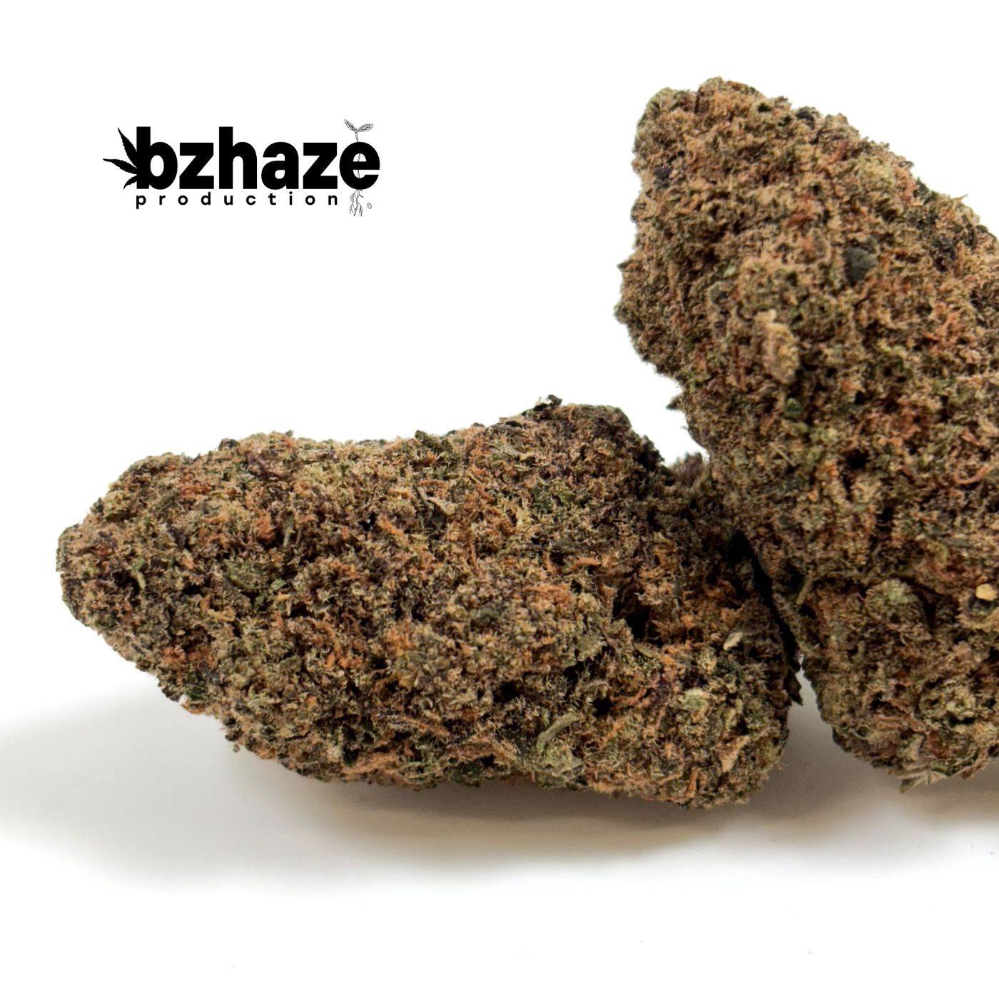 💥 NEW !  – Indoor Papaya by Bzhaze Production