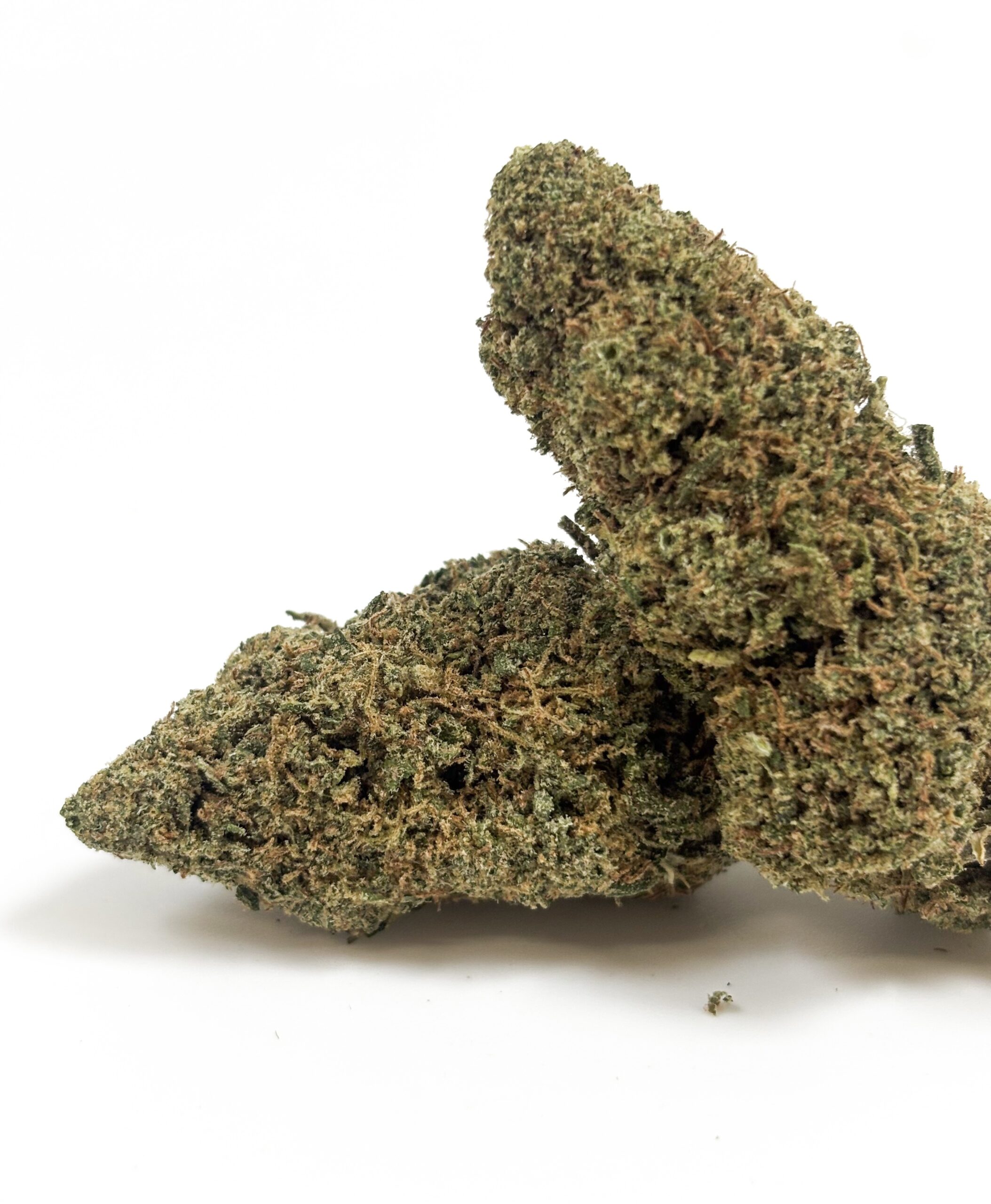 💥 NEW ! Sunset Haze – Indoor Premium