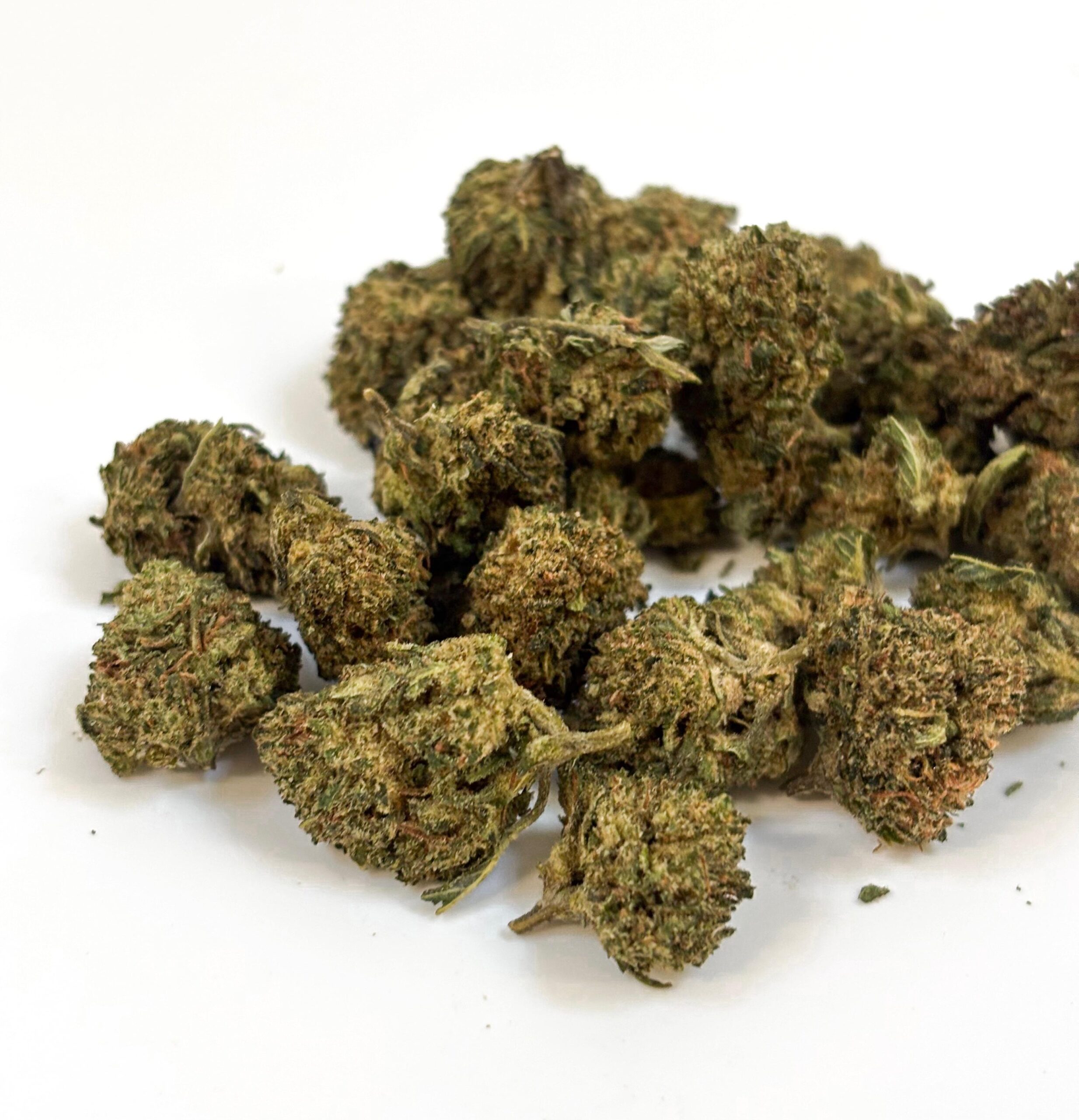 💥 NEW ! AK-47 Small Buds 30%