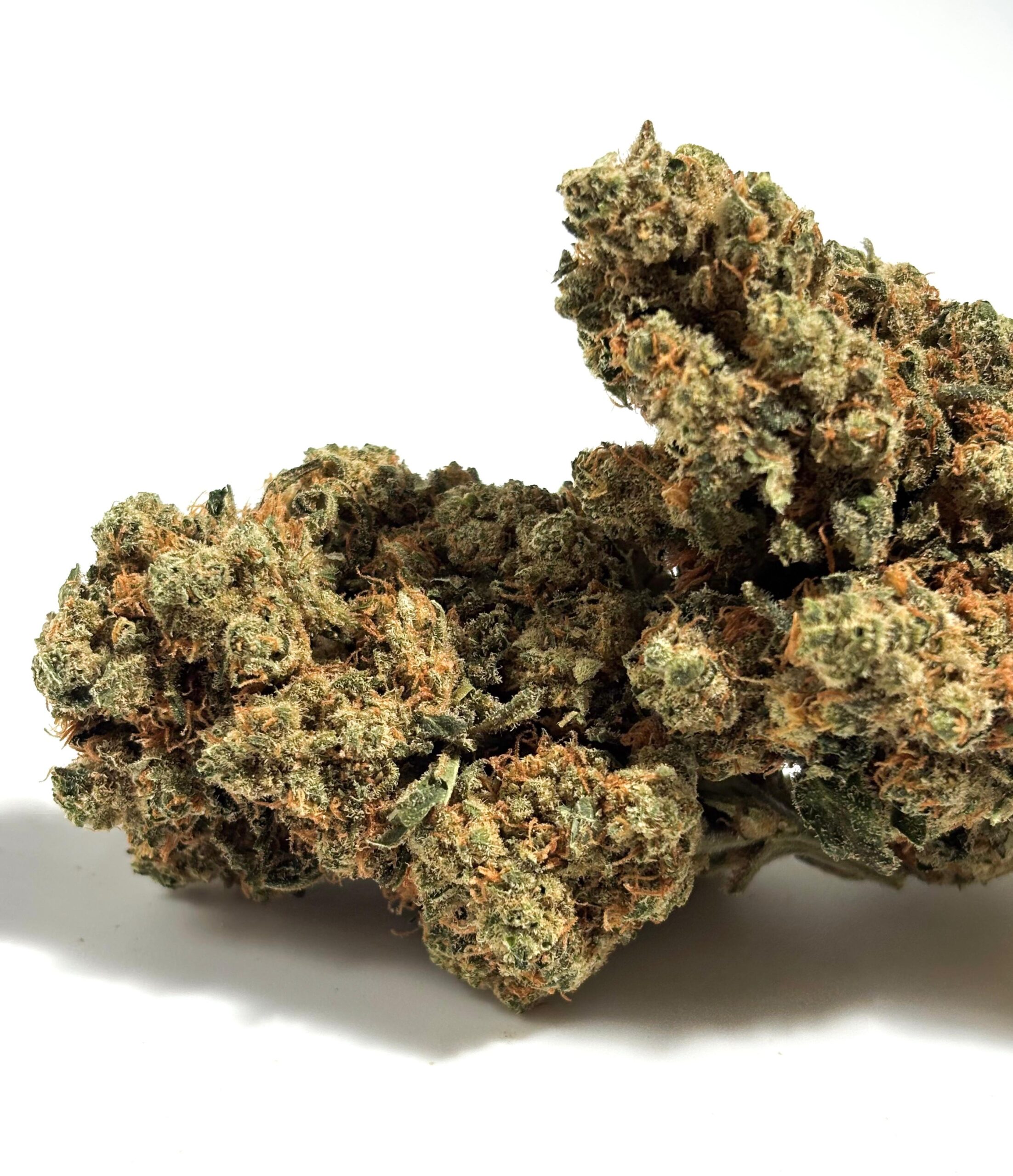💥 NEW, promo ! Amnesia JSH (MJ) 30%