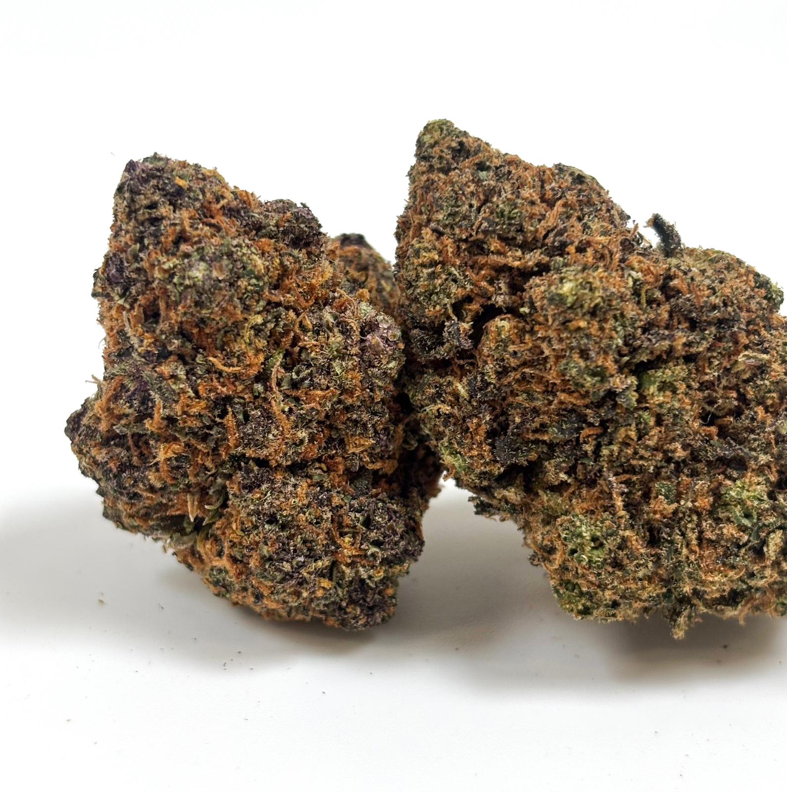 💥NEW ! Purple Gaz – Indoor Premium ++