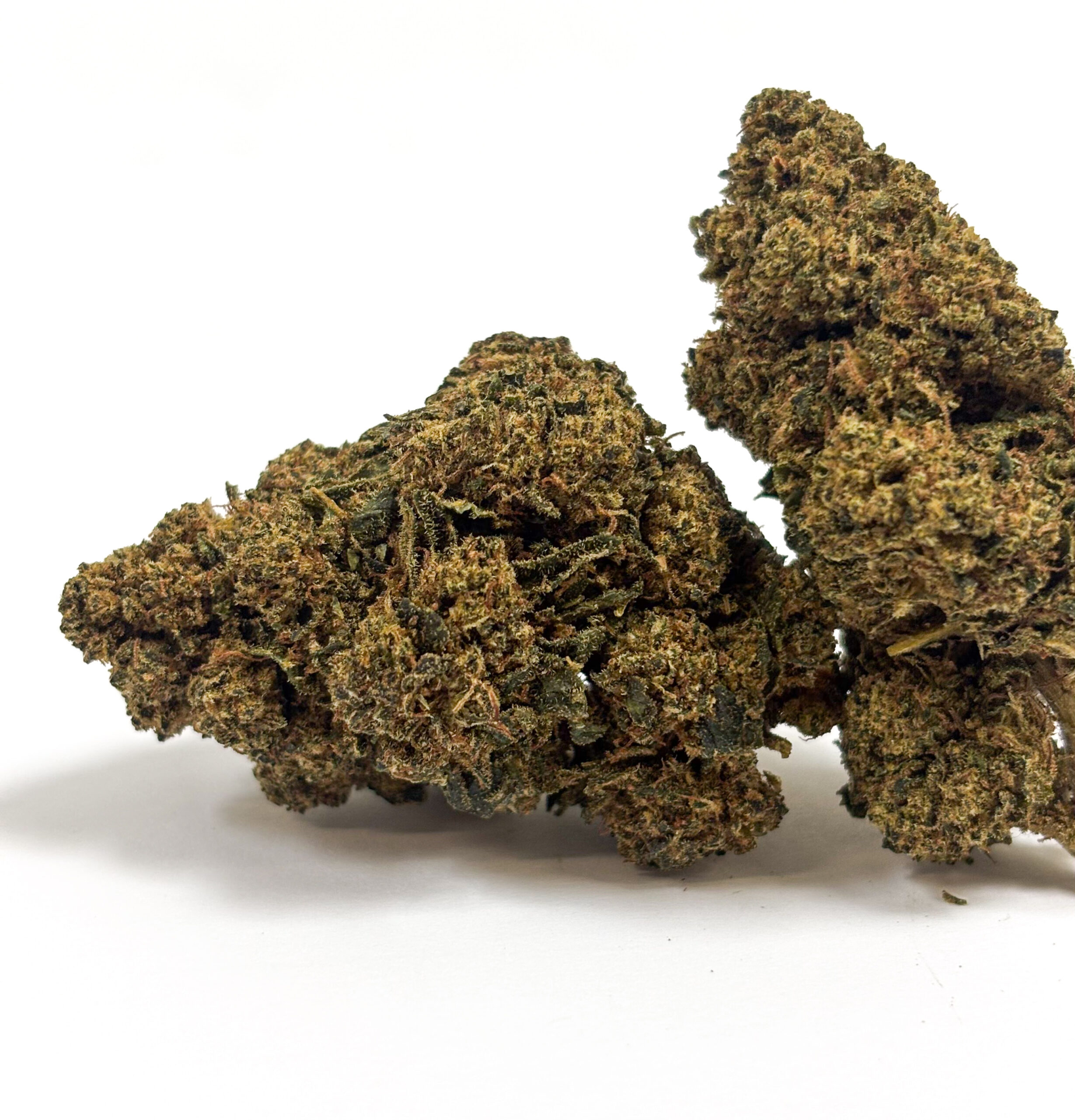 💥 NEW ! Gelato 41 30%